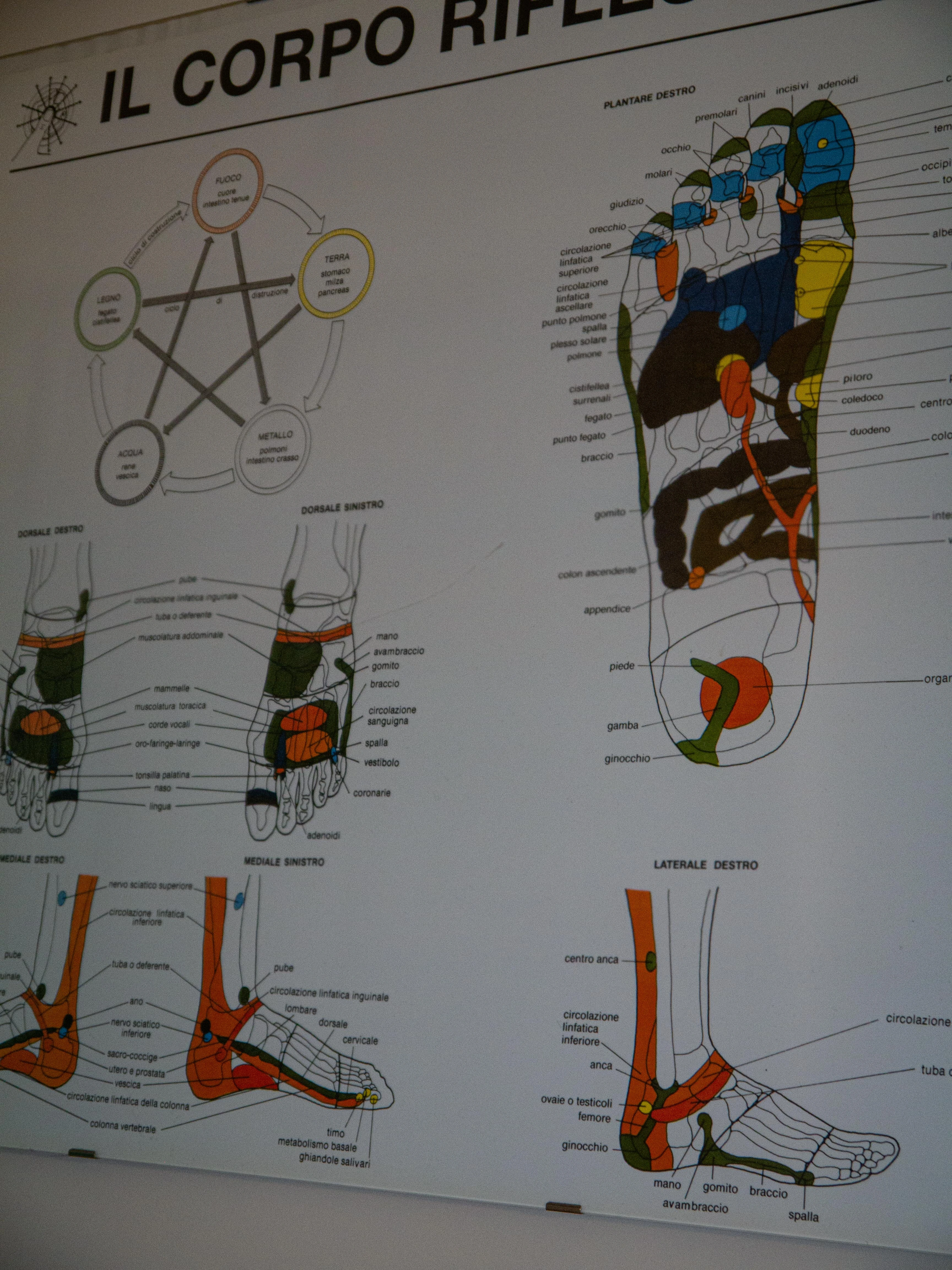 Ambiente accogliente studio Sovere